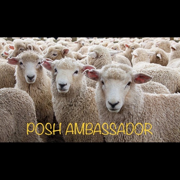 🌟Posh Ambassador!🌟 - Picture 1 of 2
